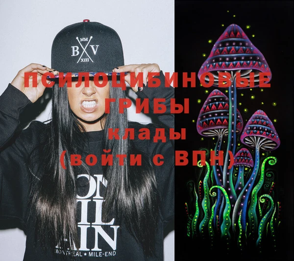 дмт Алзамай