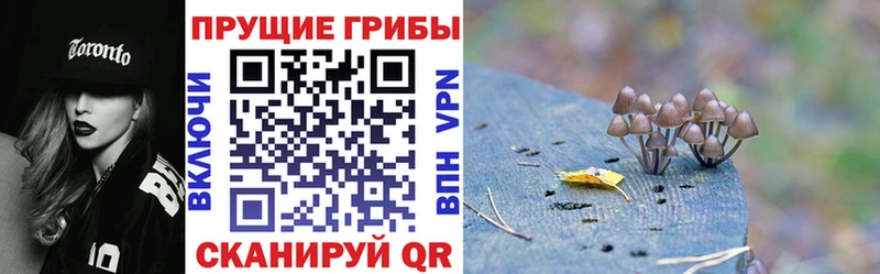 Псилоцибиновые грибы GOLDEN TEACHER  Усть-Илимск 