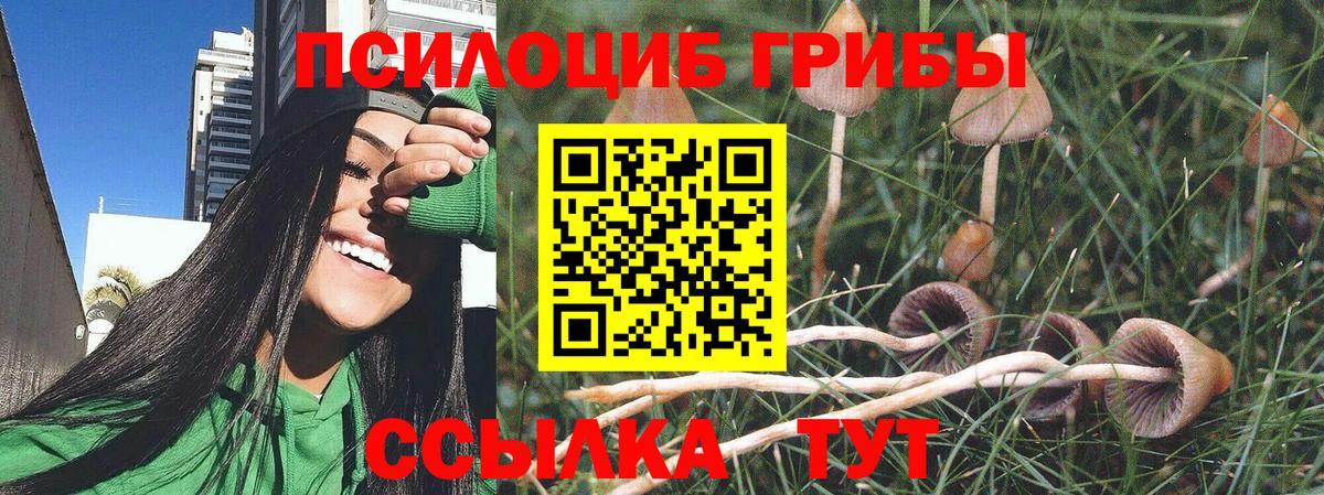Галлюциногенные грибы мухоморы  дарнет шоп  Усть-Илимск  Галлюциногенные грибы мицелий  Вход с VPN 